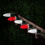 PeakPro Red/Pure White C7 LED Replacement Bulbs 25 Pack