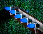 Blue Ceramic Opaque C7 5 Watt Replacement Bulbs 25 Pack