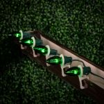 Green Transparent C7 5 Watt Bulbs