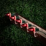 Red Transparent C7 5 Watt Bulbs