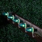 Teal Transparent C7 5 Watt Bulbs