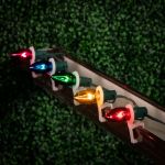 Assorted Transparent C7 5 Watt Bulbs