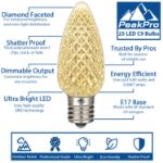 PeakPro Red C9 LED Replacement Bulbs 25 Pack 
