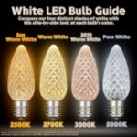 PeakPro Warm White C9 LED Replacement Bulbs 25 Pack 