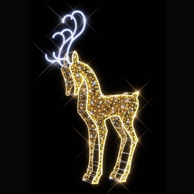 Flashy Deer