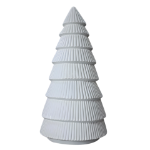 Conical White Pine Tree