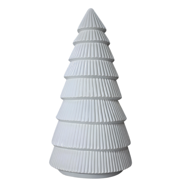 Conical White Pine Tree