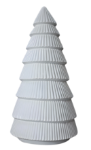 Conical White Pine Tree