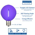 Purple LED G50 Plastic Filament LED Globe Bulbs - 25pk