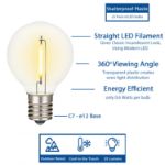 Warm White - G40 - Plastic Filament LED Replacement Bulbs - 25 Pack