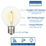 Warm White LED G50 Plastic Filament LED Globe Bulbs - 25pk