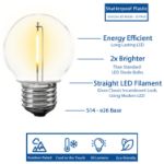 Warm White LED Medium Base G50 Plastic Filament Globe Bulbs - 25pk