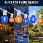 Blue and Orange G40 bulbs shown outdoors in rain, snow and sunshine