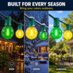 Green and Yellow G40 bulbs shown outdoors in rain, snow and sunshine