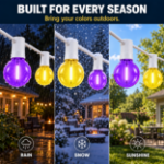 Purple and Yellow G40 bulbs shown outdoors in rain, snow and sunshine