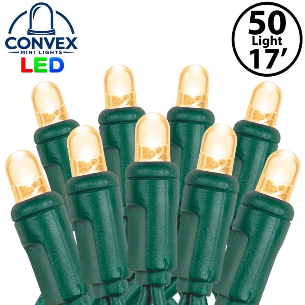 Close-up of warm white 5mm convex LED mini light bulbs on green wire