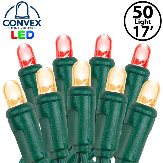 Close-up of red/warm white 5mm convex LED mini light bulbs on green wire