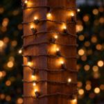 Warm white convex LED mini lights on brown wire wrapped around an outdoor wood post