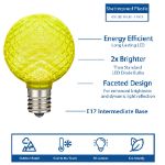 G50 diamond faceted LED bulb features infographic