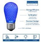 S14 diamond faceted LED bulb features infographic