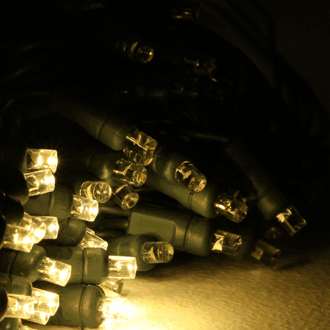 Warm white chasing mini lights in action